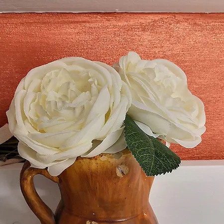 住宿加早餐酒店 La Camelia 圣埃拉莫因科莱