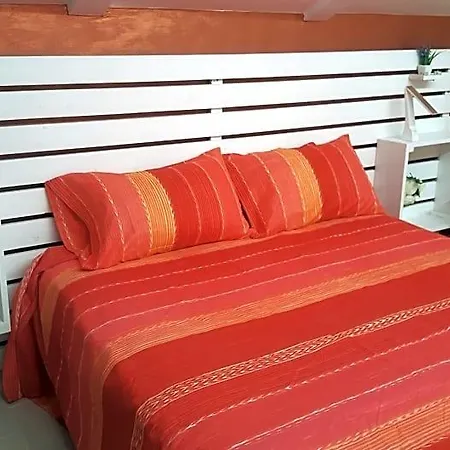 La Camelia 3*